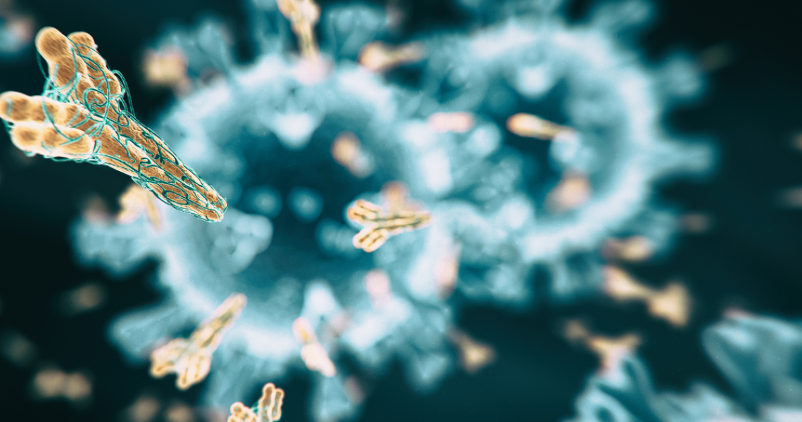 Picture of antibodies.