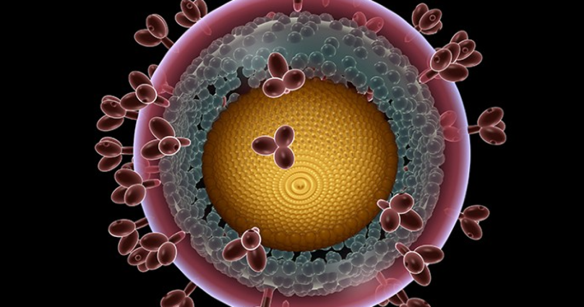 This is an HIV antibody with a yellow core and pink outer shell.