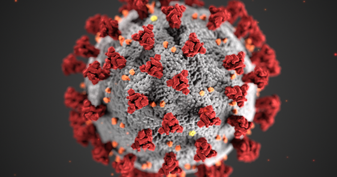 An omicron COVID virus. A gray virus with red and orange projections.