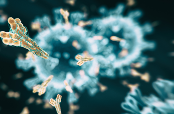 Picture of antibodies.