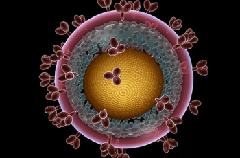 This is an HIV antibody with a yellow core and pink outer shell.
