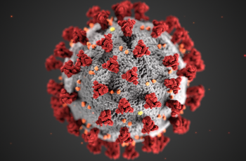 An omicron COVID virus. A gray virus with red and orange projections.